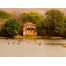 Ranthambore National Park