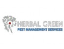 Herbal Green Pest Control