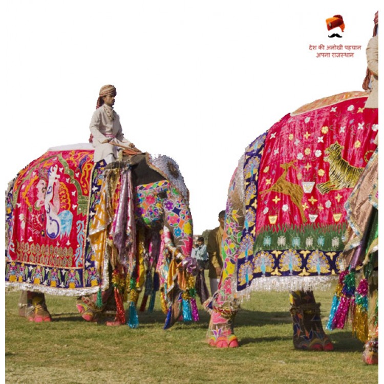 Elephant Festival - Jaipur