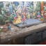 Bharatiya Lok Kala Mandal - Udaipur