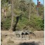 Achalgarh Fort - Mount Abu