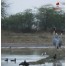 Getolav Bird Habitat - Dausa