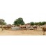 National Research Centre on Camel - Bikaner