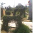 Company Garden - Alwar