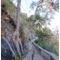 Parshuram Mahadev Temple - Pali