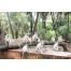 Sariska Tiger Reserve - Alwar